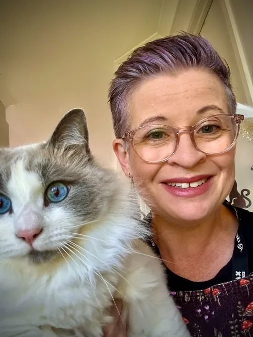 Cat Sitting in Newcastle, Done Right
